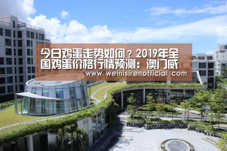 今日鸡蛋走势如何?2019年全国鸡蛋价格行情预测:澳门威尼斯人(图2) 澳门威尼斯人娱乐城