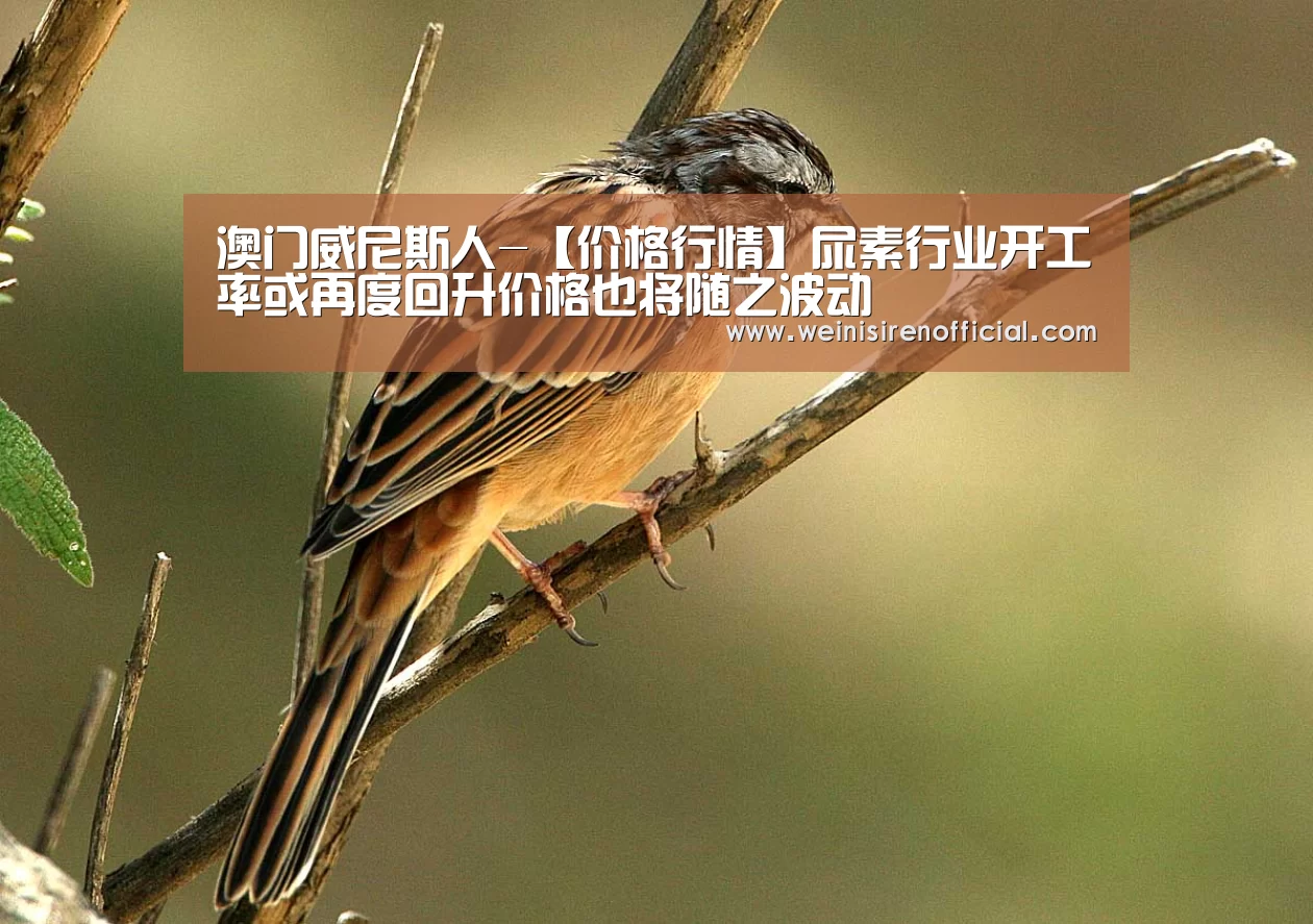 威尼斯人