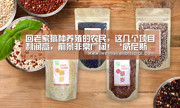 回老家搞种养殖的农民,这几个项目利润高,前景非常广阔!‘威尼斯人’(图3) 澳门威尼斯人