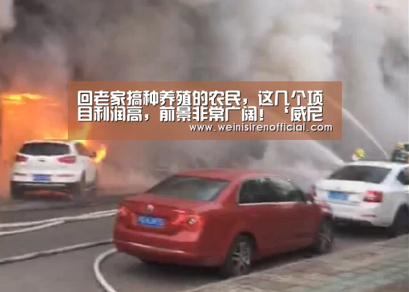 回老家搞种养殖的农民,这几个项目利润高,前景非常广阔!‘威尼斯人’(图2) 澳门威尼斯人娱乐城