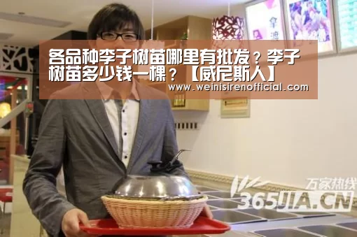 威尼斯人娱乐场