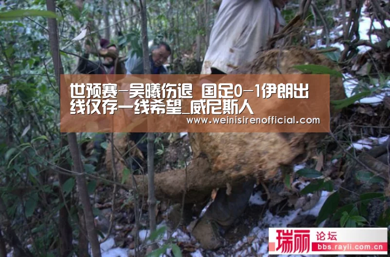 威尼斯人