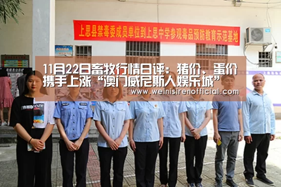 11月22日畜牧行情日评:猪价、蛋价携手上涨“澳门威尼斯人娱乐城”(图1) 威尼斯人娱乐场