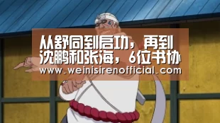 从舒同到启功,再到沈鹏和张海,6位书协主席的书法水准如何?“威尼斯人娱乐场”(图1) 威尼斯人