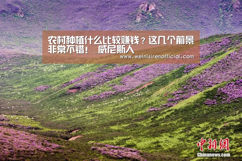 澳门威尼斯人娱乐城