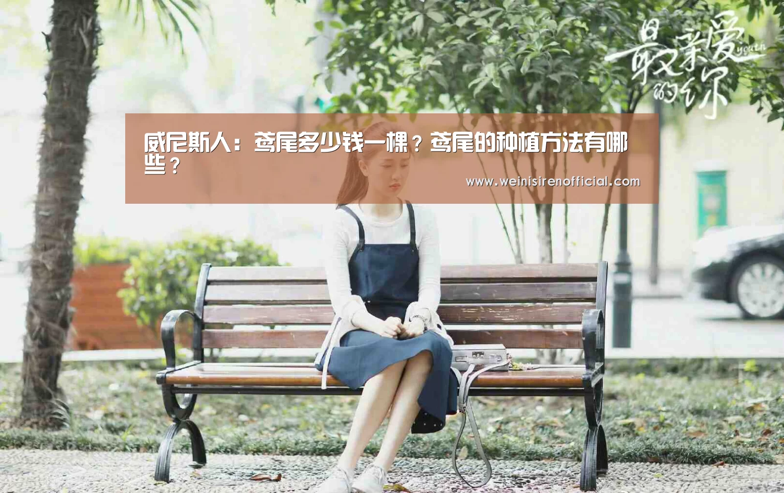 威尼斯人:鸢尾多少钱一棵?鸢尾的种植方法有哪些?(图1) 威尼斯人