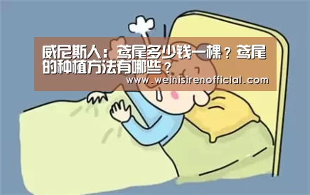 威尼斯人:鸢尾多少钱一棵?鸢尾的种植方法有哪些?(图4) 威尼斯人