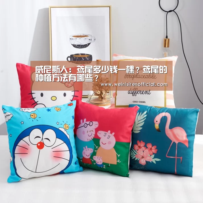 威尼斯人:鸢尾多少钱一棵?鸢尾的种植方法有哪些?(图3) 威尼斯人娱乐场