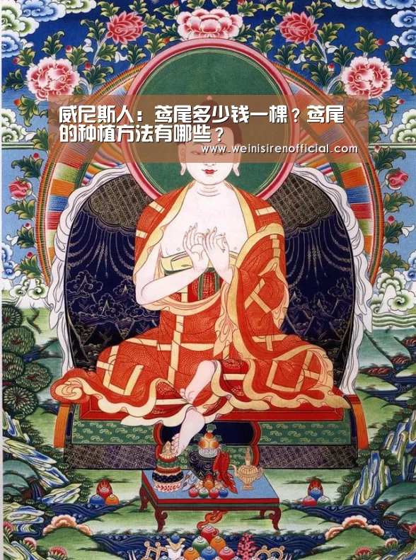 威尼斯人:鸢尾多少钱一棵?鸢尾的种植方法有哪些?(图2) 澳门威尼斯人