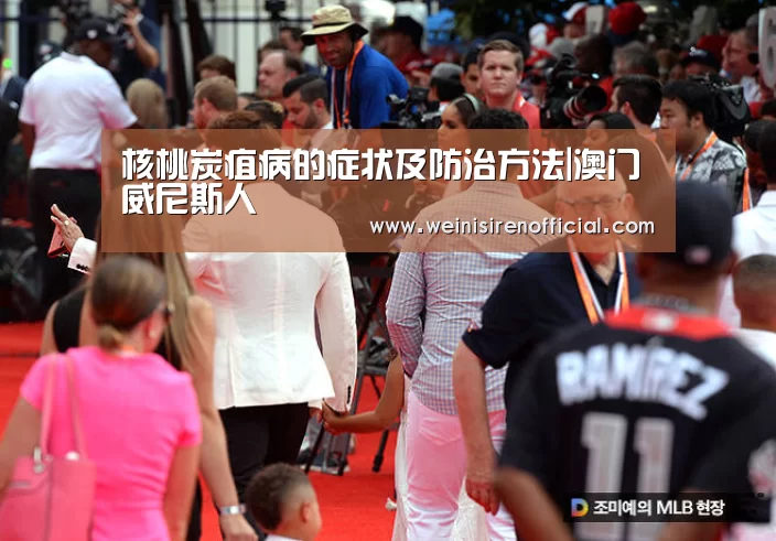 核桃炭疽病的症状及防治方法|澳门威尼斯人(图3) 威尼斯人娱乐场