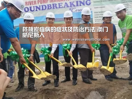 核桃炭疽病的症状及防治方法|澳门威尼斯人(图1) 澳门威尼斯人