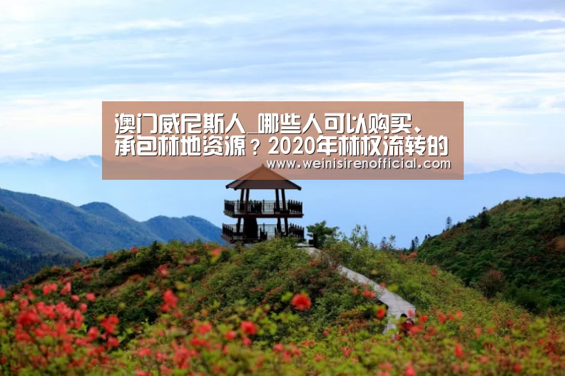 澳门威尼斯人_哪些人可以购买、承包林地资源?2020年林权流转的方式和程序(图4) 威尼斯人